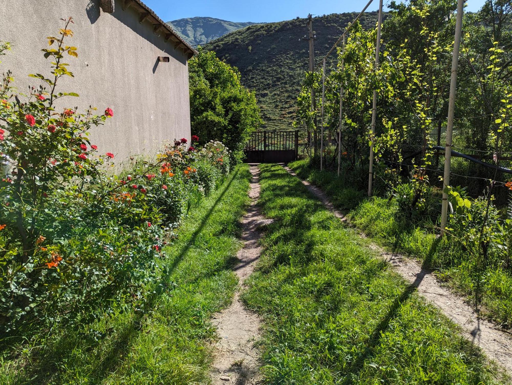 Bee House Hotel Pia Екстериор снимка