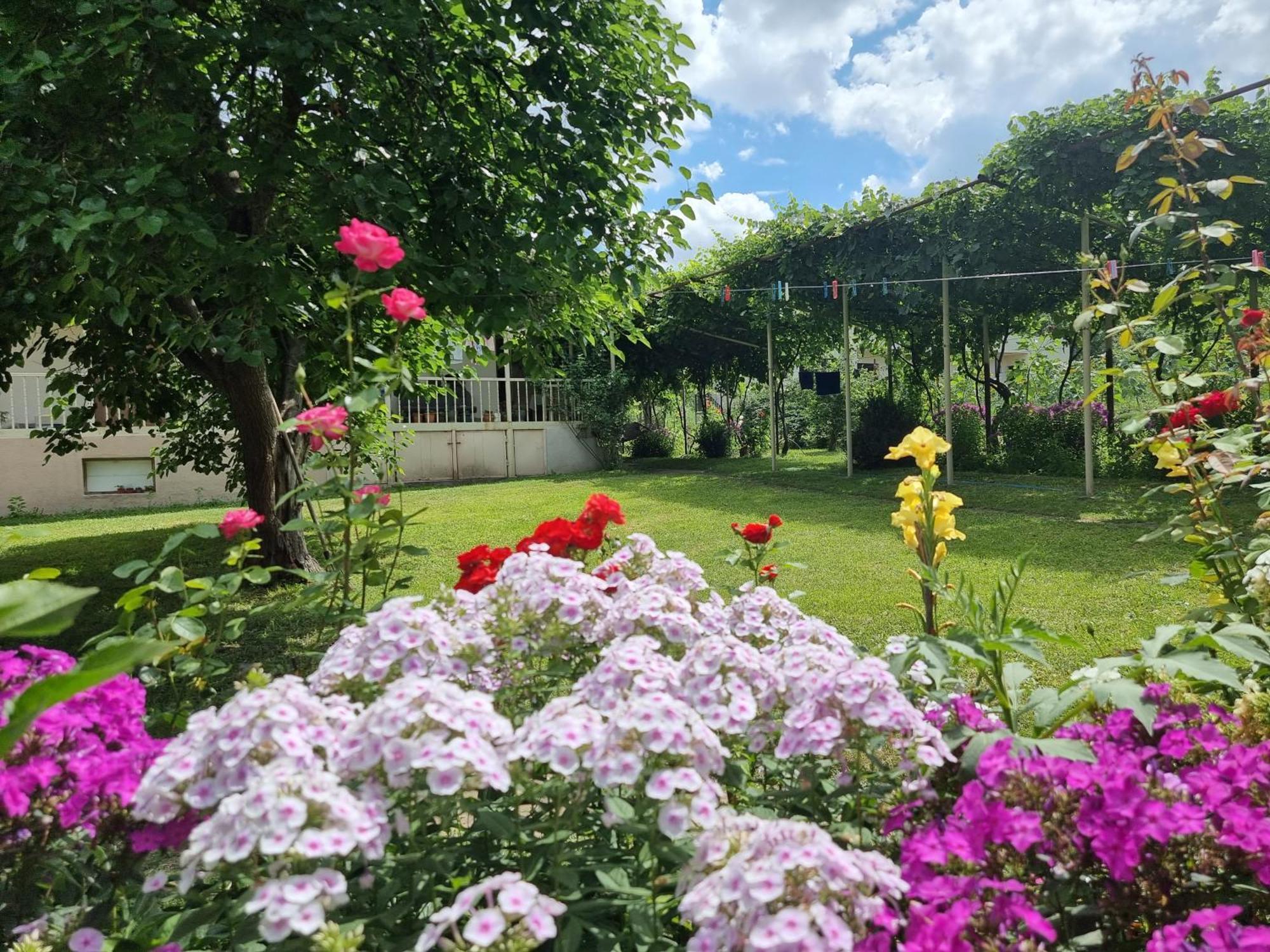 Bee House Hotel Pia Екстериор снимка