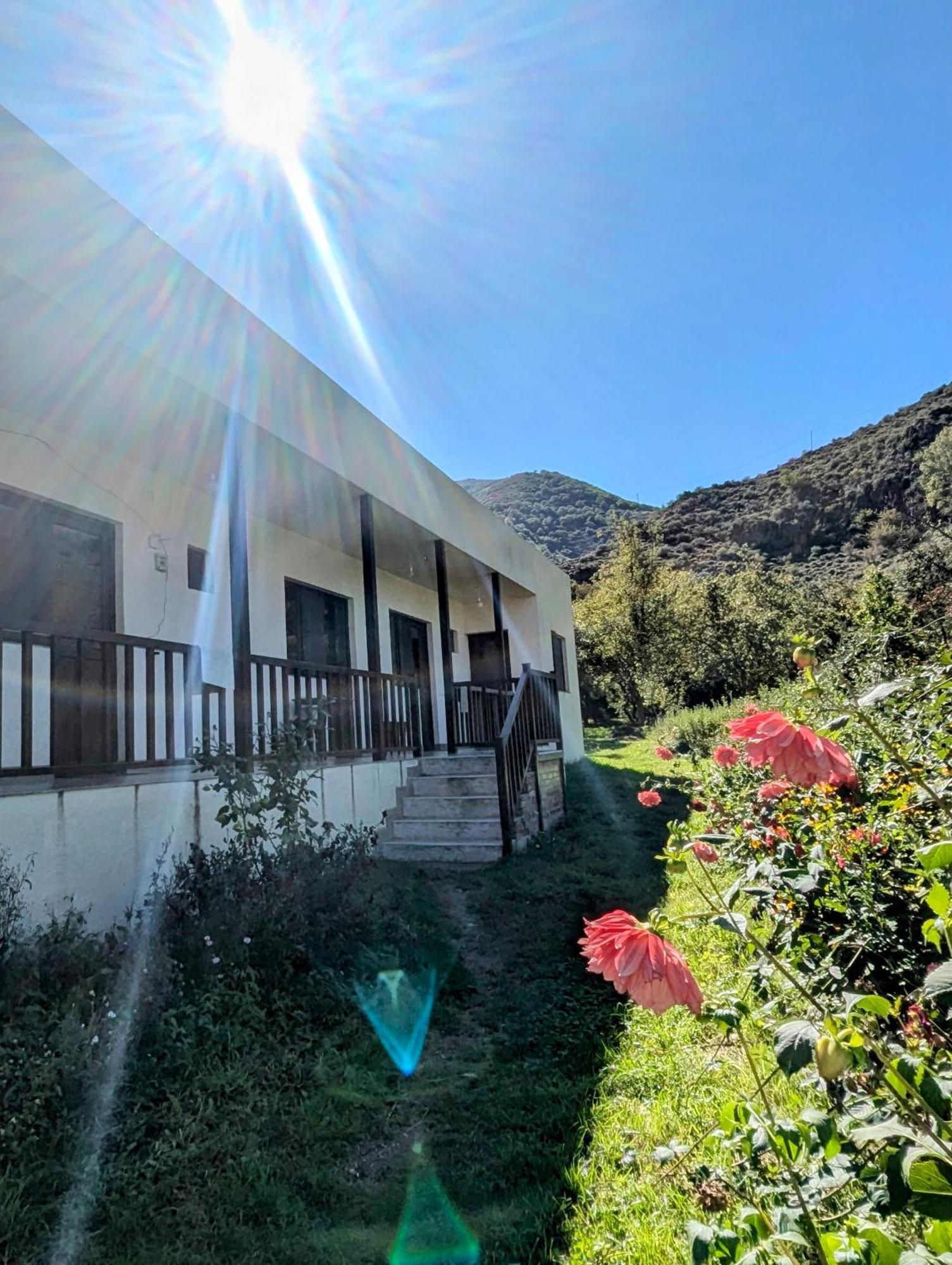 Bee House Hotel Pia Екстериор снимка