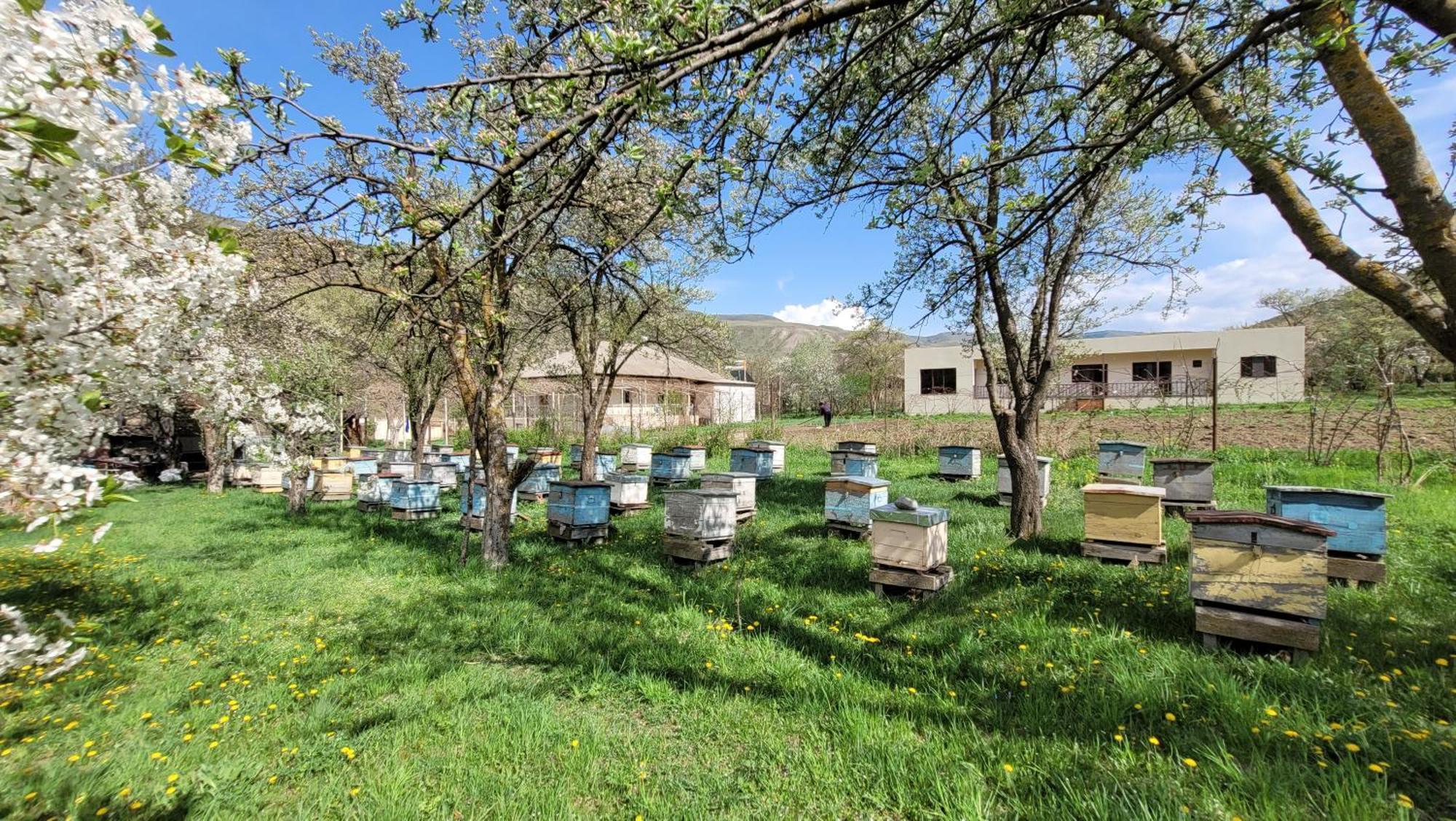 Bee House Hotel Pia Екстериор снимка